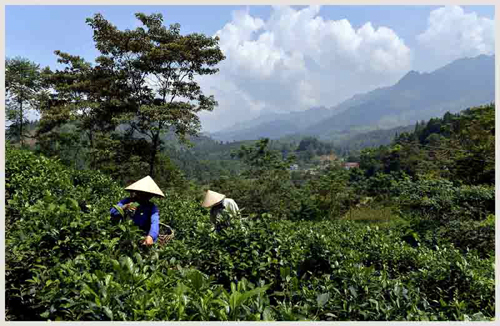Xã Lùng Vai dồn lực xây dựng nông thôn mới ảnh 5